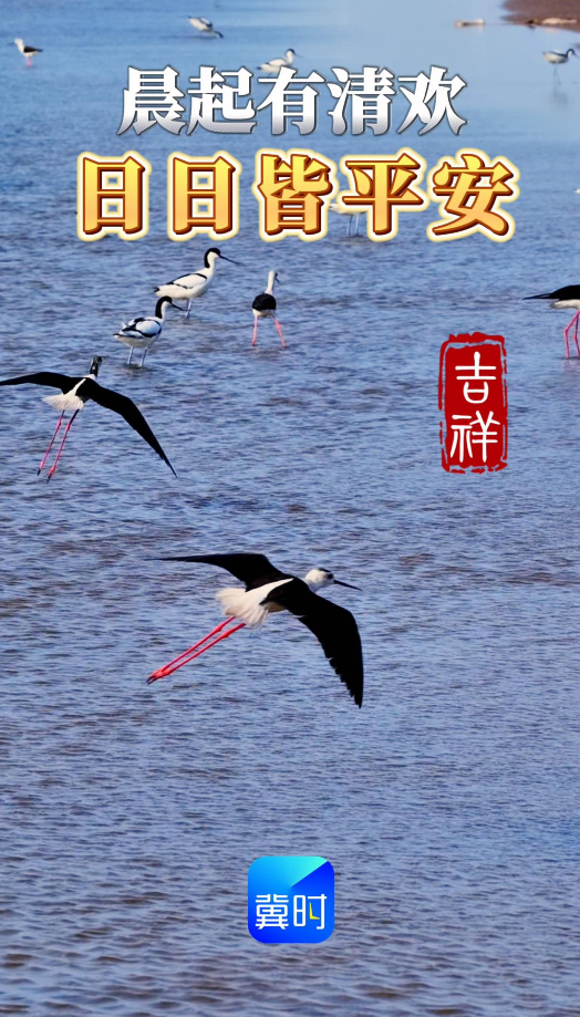 早安丨好的运气 从清晨开始 愿你晨起有微笑 笑里有幸福
