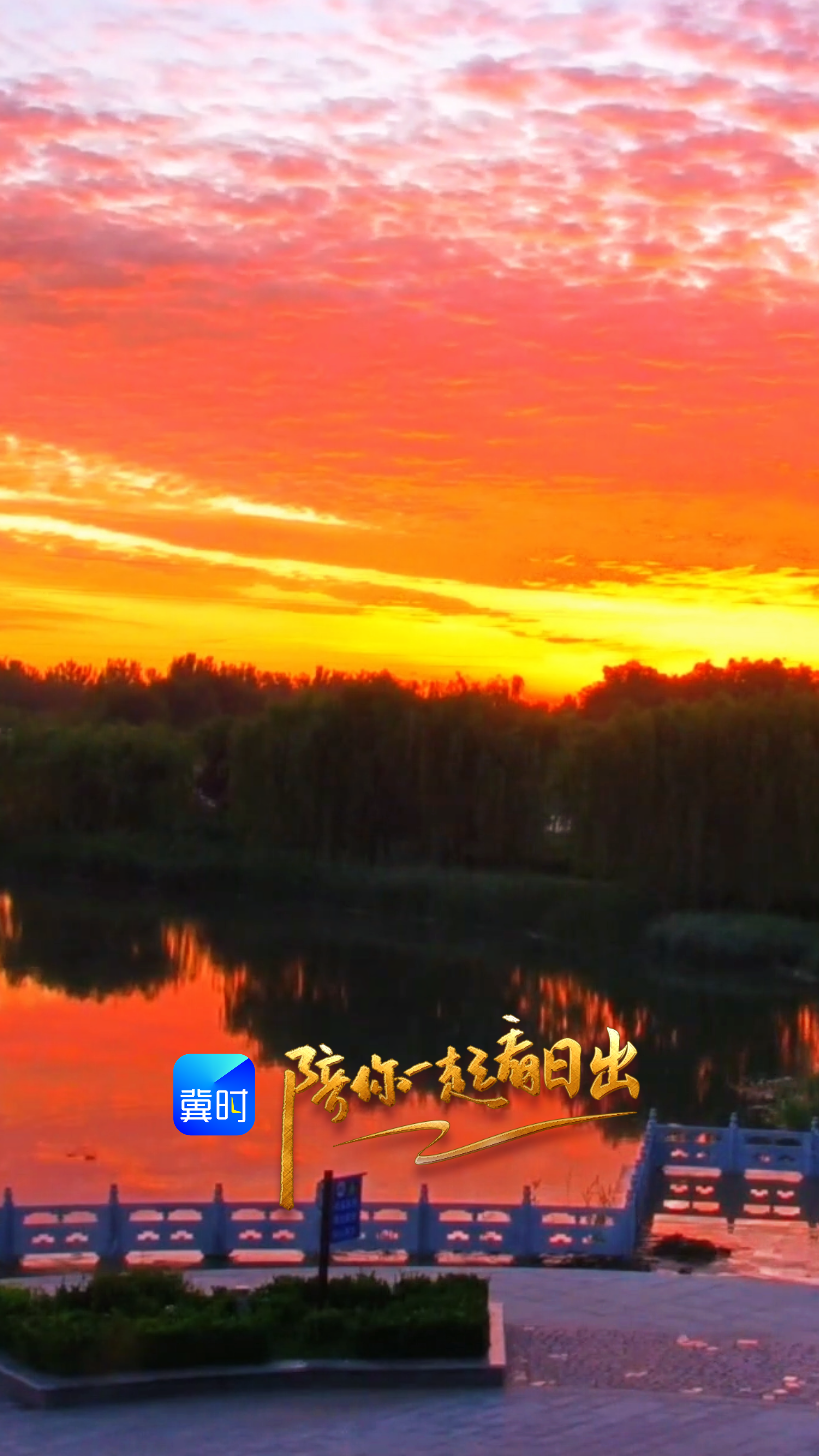 陪你一起看日出丨邯郸 大名 森林生态园 2026.05.29