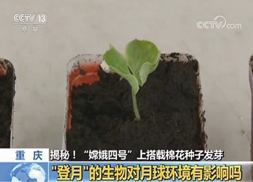 关注1