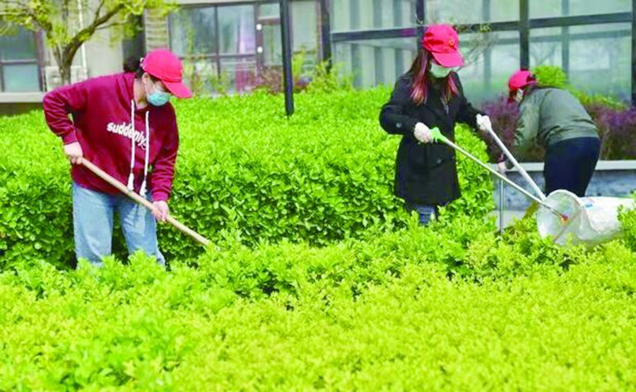 社区 主语城社区
