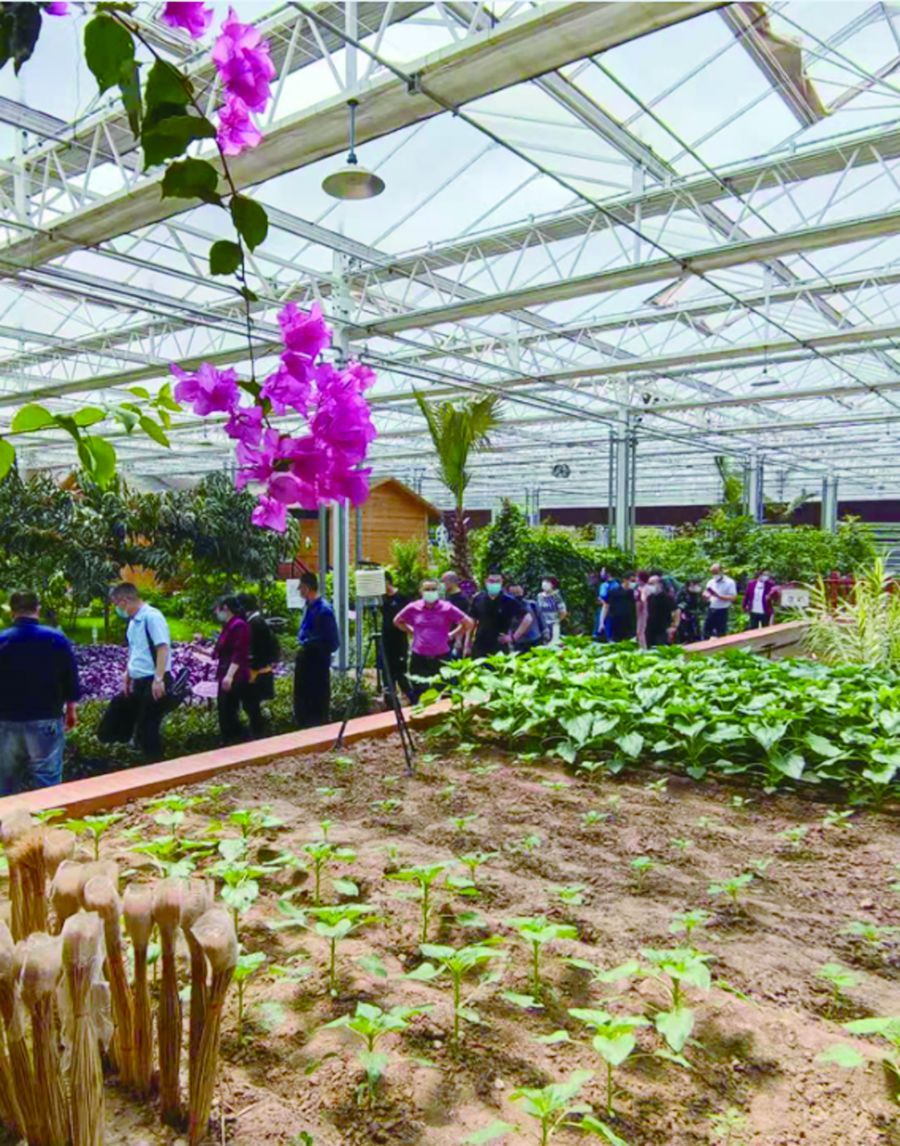 社区 新华区委统战部、工商联组织开展&ldquo;学党史、强信念、跟党走&rdquo;主题教育