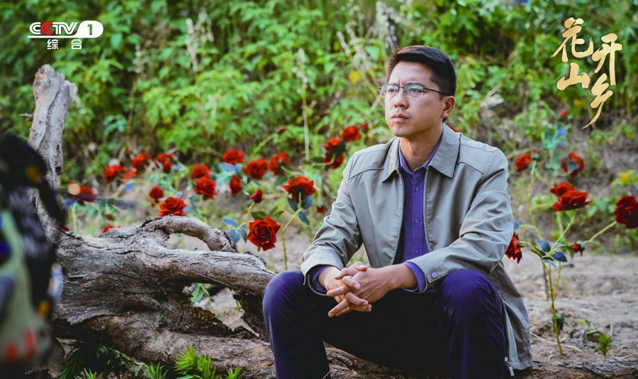 花开山乡2