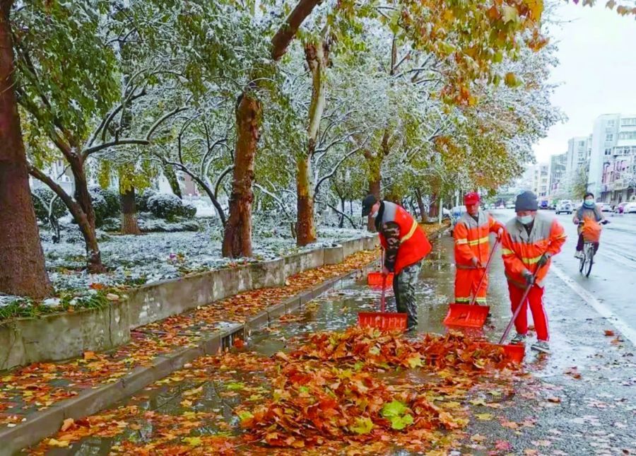 社区 清积水、扫落叶 坚守一线的环卫人.webp