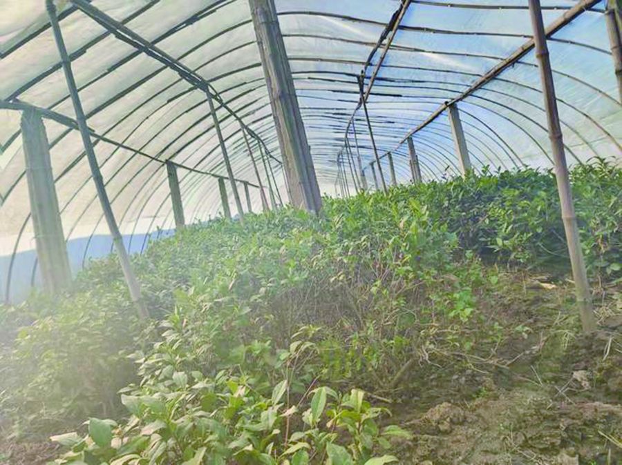 社区 灵寿县南营村