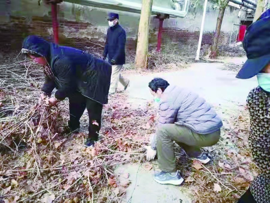 社区 李树行：热心肠的楼院长