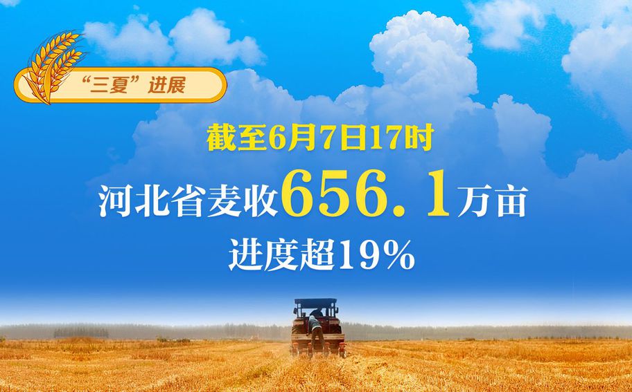 “三夏”日报告 | 截至6月7日17时，河北省麦收656.1万亩