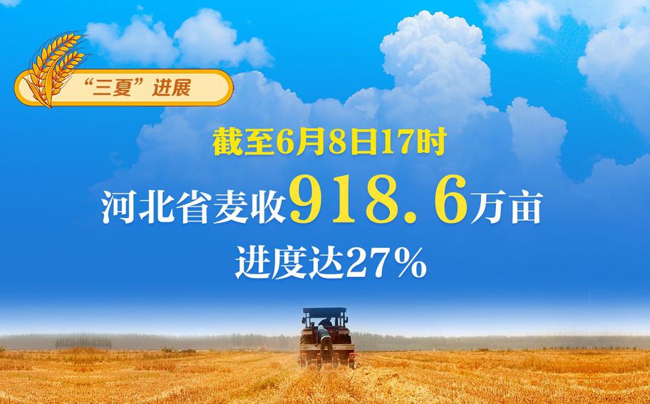 “三夏”日报告 | 截至6月8日17时，河北省麦收918.6万亩