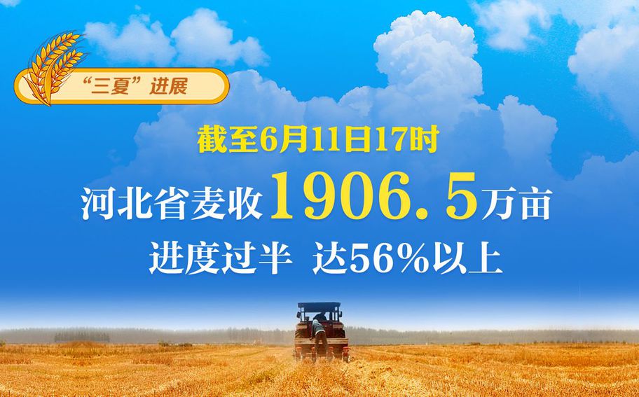 “三夏”日报告 | 截至6月11日17时，河北省麦收1906.5万亩，进度过半