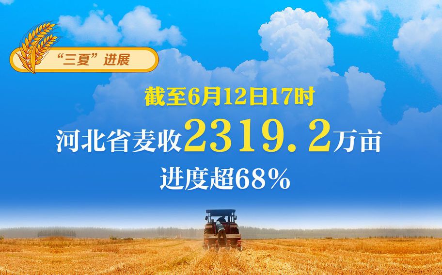 “三夏”日报告 | 截至6月12日17时，河北省麦收2319.2万亩