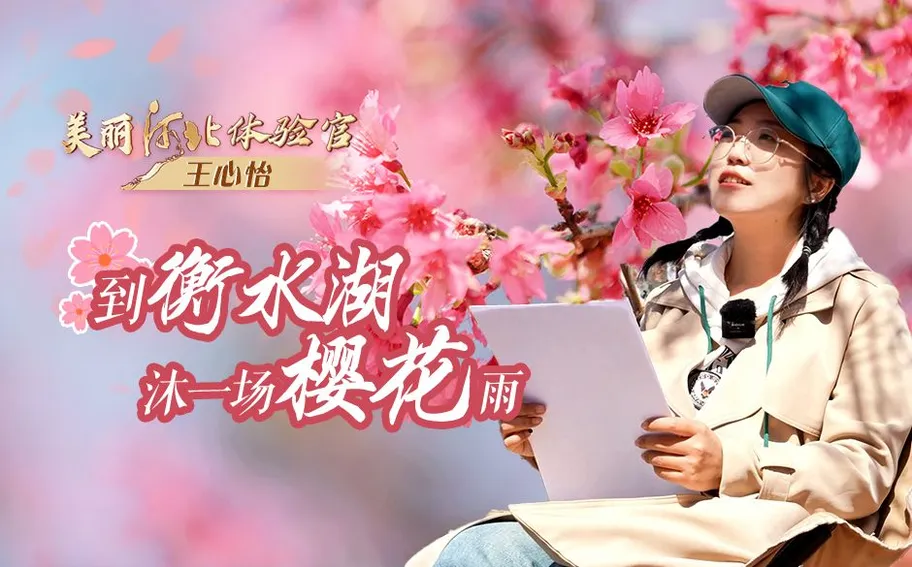 美丽河北体验官｜到衡水湖 沐一场樱花雨
