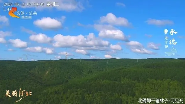 美丽河北慢直播丨 2025.06.10 清晨