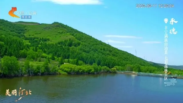 美丽河北慢直播丨2025.06.11 正午