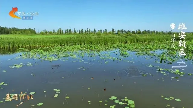 美丽河北慢直播丨2025.06.12 清晨