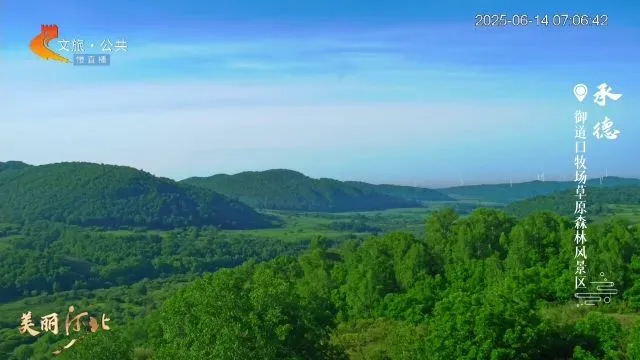美丽河北慢直播丨2025.06.14 清晨