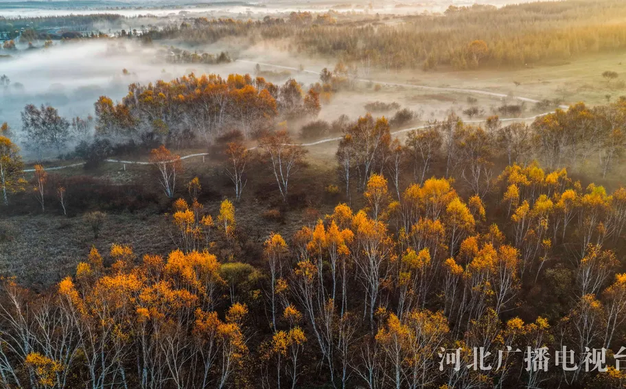 承德围场：坝上草原秋景如画