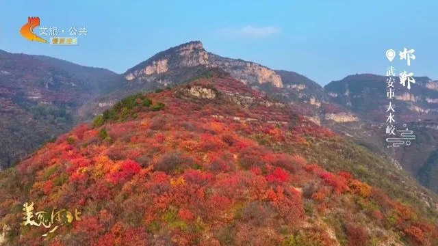 美丽河北慢直播丨2025.10.29 清晨