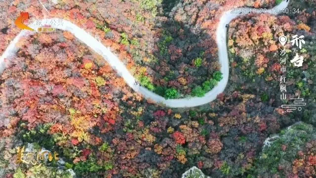 美丽河北慢直播丨2025.10.29 正午