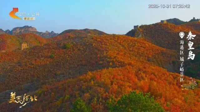 美丽河北慢直播丨2025.10.31 清晨