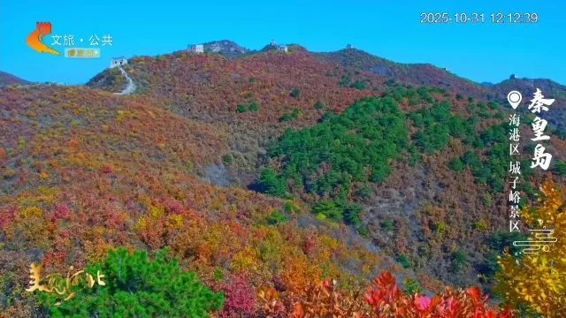 美丽河北慢直播丨2025.10.31 正午