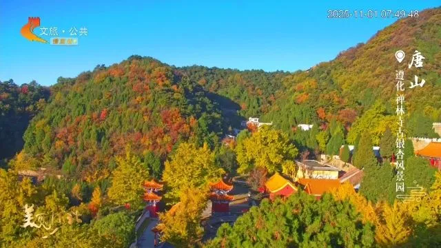 美丽河北慢直播丨2025.11.01 清晨