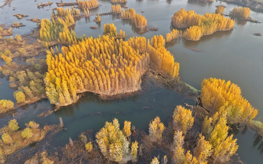 邢台隆尧：泜河秋色美