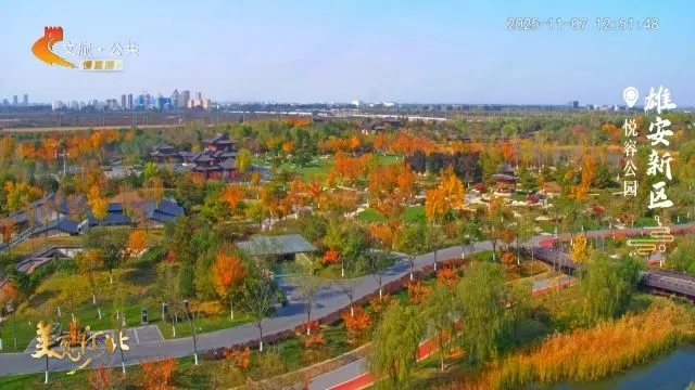 美丽河北慢直播丨2025.11.07 正午