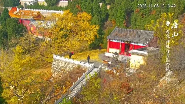 美丽河北慢直播丨2025.11.08 正午