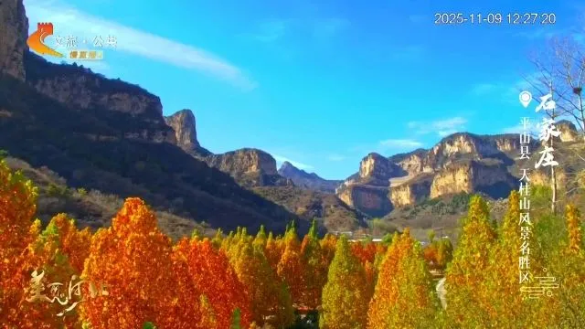 美丽河北慢直播丨2025.11.09 正午