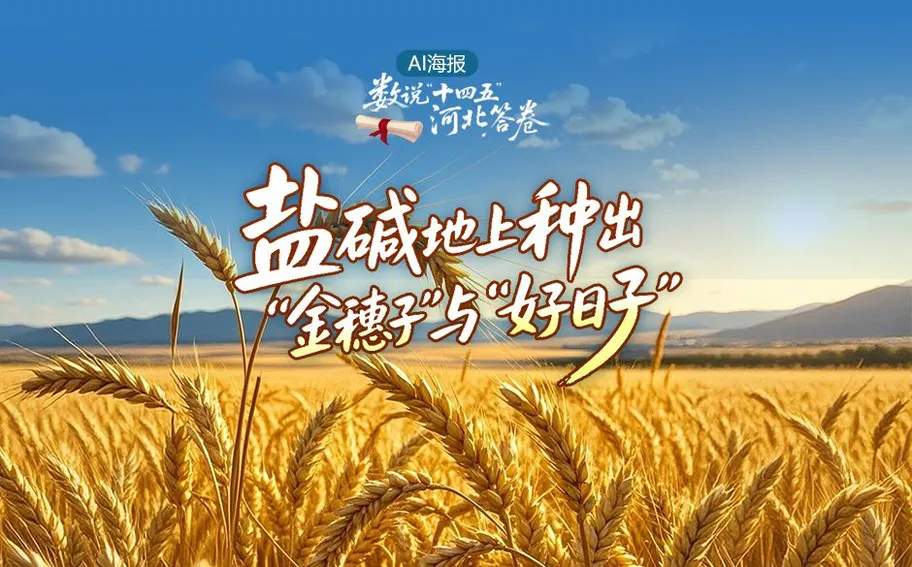 AI海报·数说“十四五”河北答卷丨盐碱地上种出“金穗子”与“好日子”