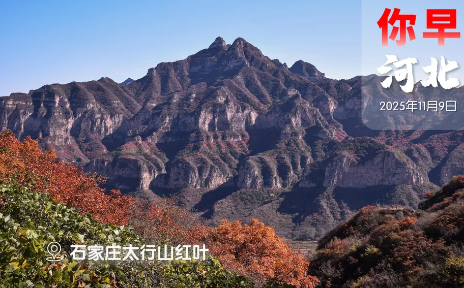 你早，河北｜孙颖莎领衔出战；三大“房展”回答“好房子”长啥样；淘宝霸屏广告被调查；“特普会”还有戏？