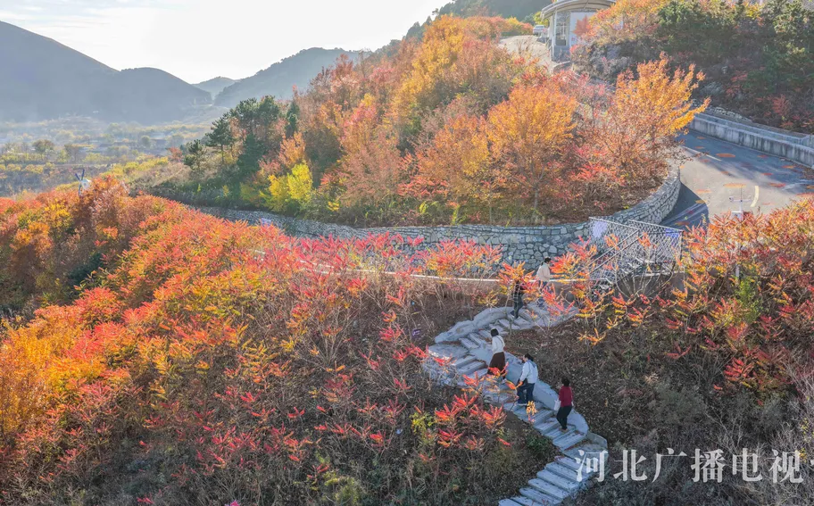 唐山遵化：山鄉初冬美如畫