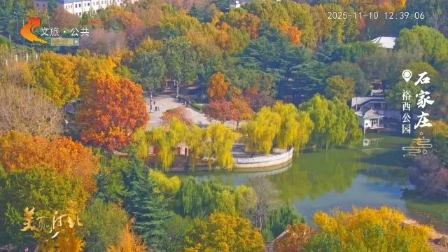 美丽河北慢直播丨霜叶翩翩 可太出片了！2025.11.10 正午