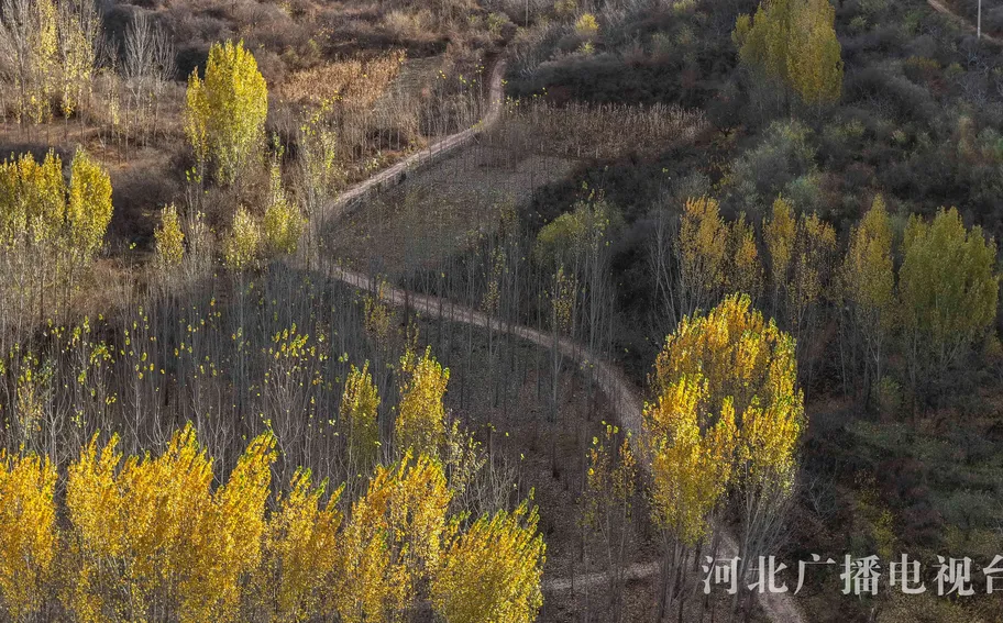 唐山玉田：山乡冬韵