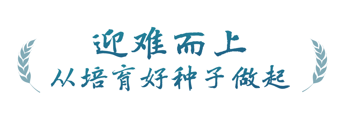 春事看农桑丨播下好种子，丰收有底气