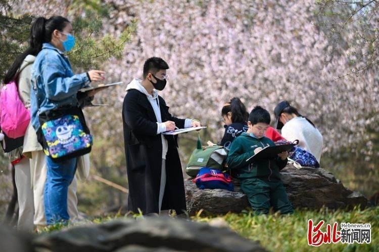 2022年4月4日，学生们结伴在石家庄植物园写生。河北日报记者霍艳恩摄