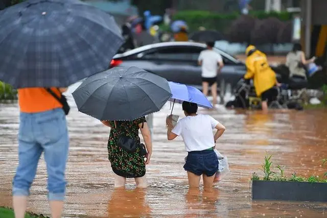 暴雨洪涝来袭，能多洁专家提醒您谨防虫媒传染病