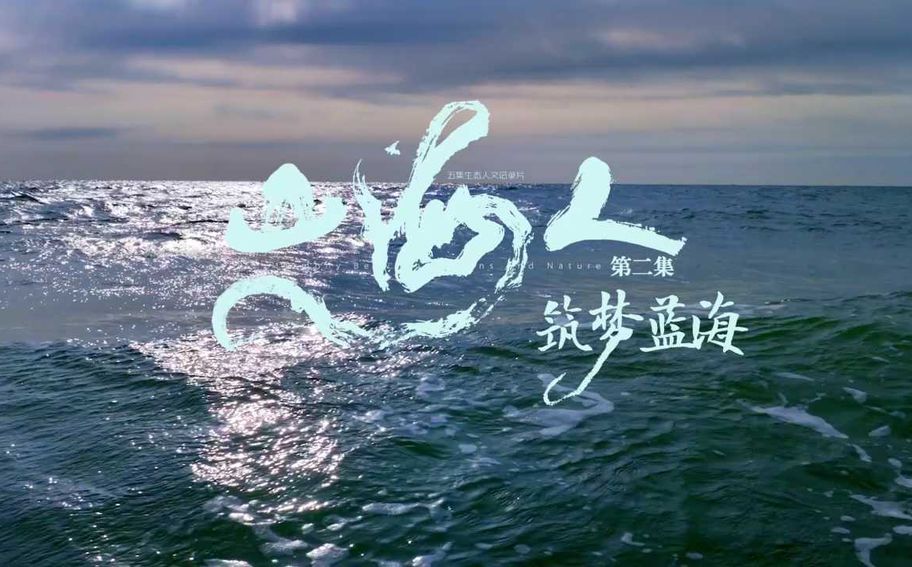 《山·海·人》第二集《筑梦蓝海》：蓝色星球筑梦 和谐万物共生