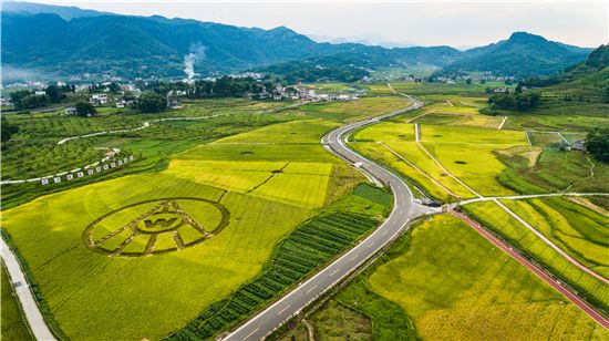 科技攻关把牢原粮品质关 五粮液迎来丰收季