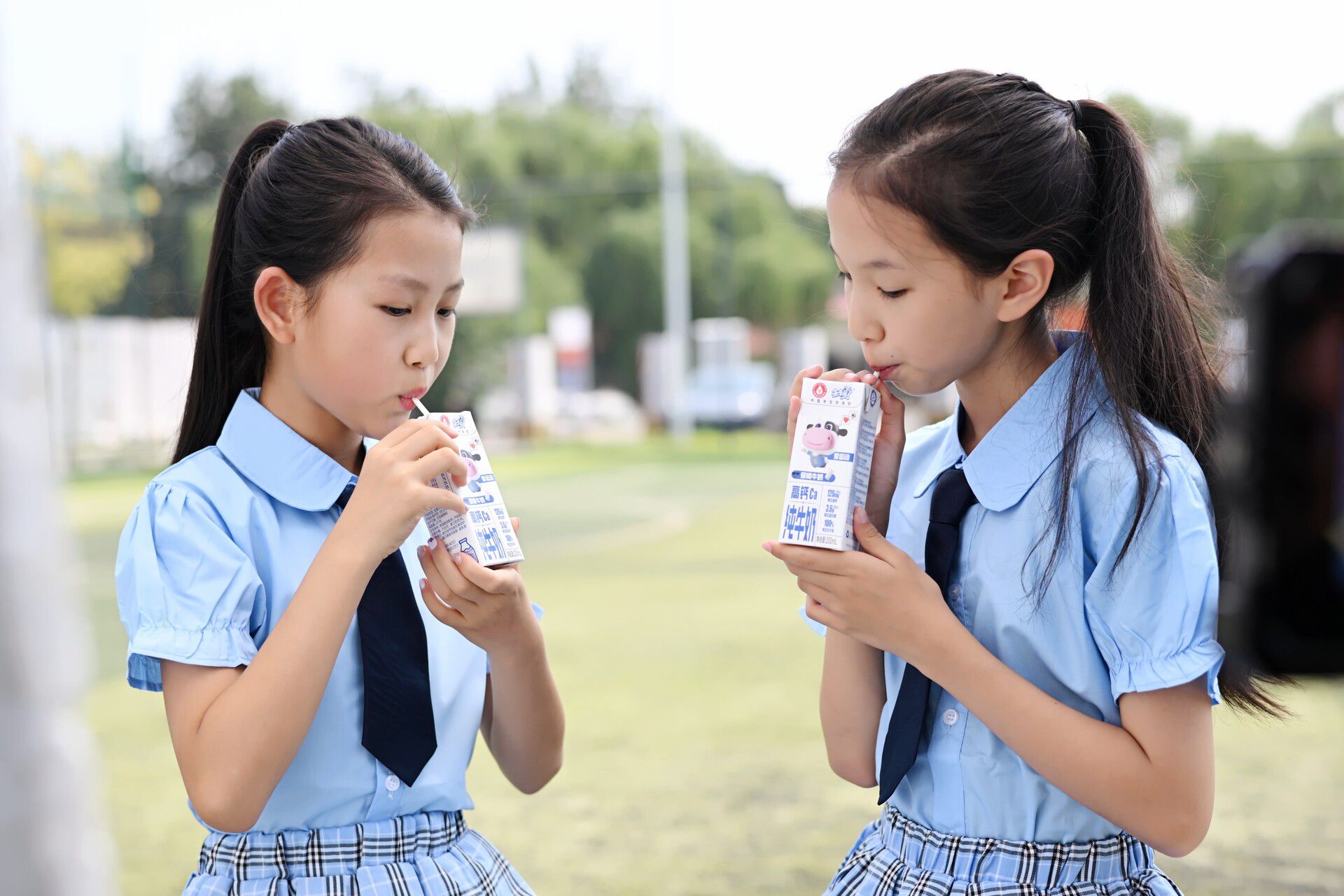 “小學(xué)生飲奶與健康評估”核心成果發(fā)布 為學(xué)齡兒童健康成長保駕護航