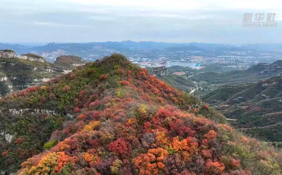 千城胜景｜石家庄井陉矿区：秋赏红叶正当时