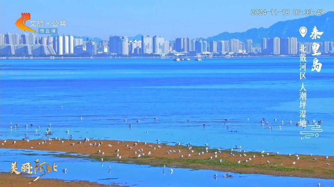 美丽河北慢直播丨2024.11.18 清晨