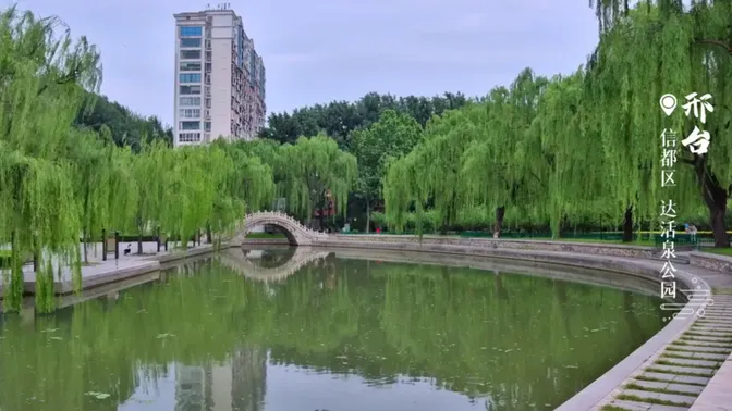 慢直播丨邢台