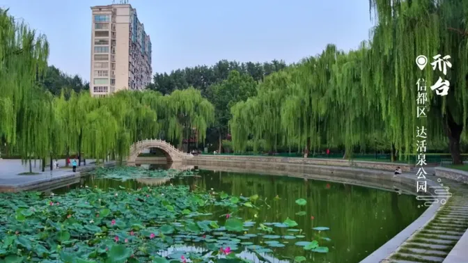 慢直播丨邢台