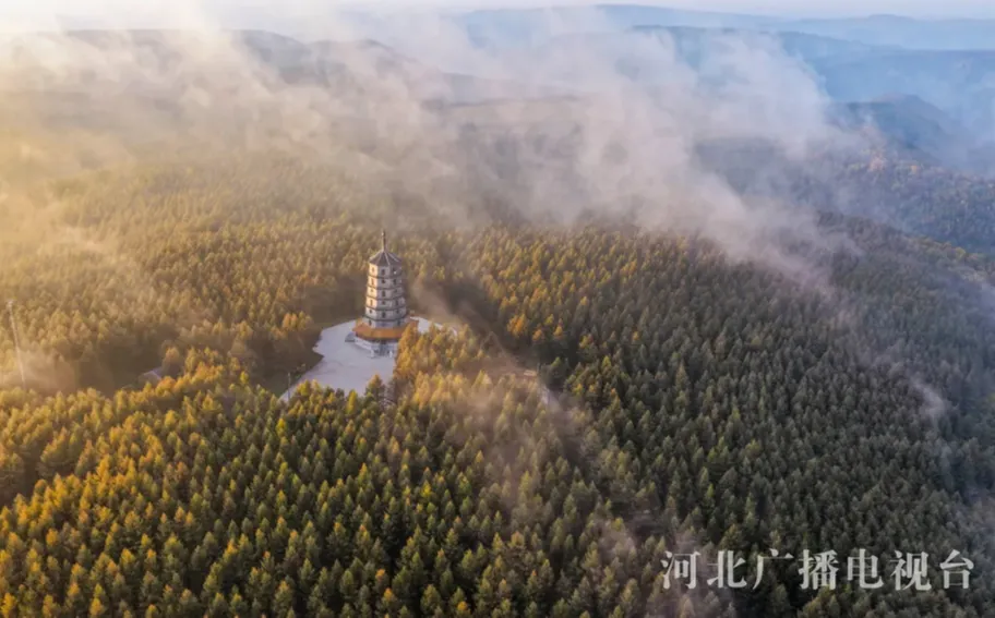 秋晨塞罕坝 风景美如画