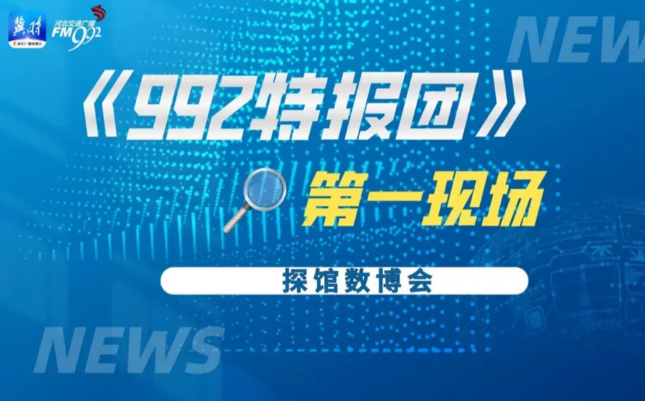 【回看丨冀时直播】探馆数博会——992特报团第一现场