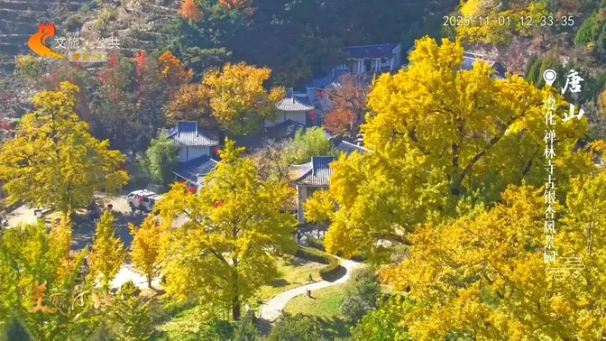 美丽河北慢直播丨2025.11.01 正午