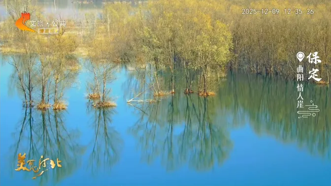 美丽河北慢直播丨#漫游保定#撷山水灵气，品人文风韵 2025.12.09 正午