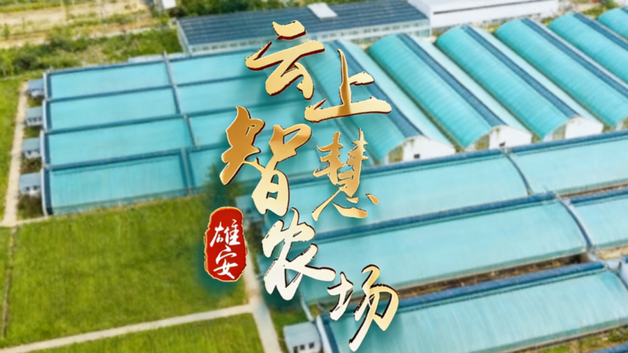 【冀时直播】探秘雄安智慧农业科技园，原来无土栽培堪比科幻大片