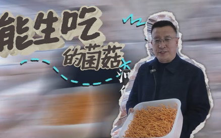 【新农人·新农时】小寒｜能生吃的菌菇：河北新农人种出鲜甜的“菌中黄金”