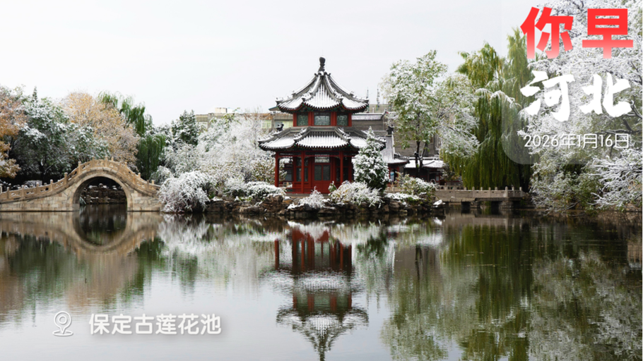 你早，河北｜石家庄“盒区房指数”的背后；大范围降雪即将上线；“棋圣”与老家河北的情缘；德国派兵了，整整13人